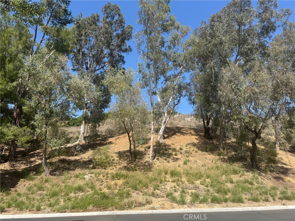 Riverside, CA 92507,512 Via La Paloma