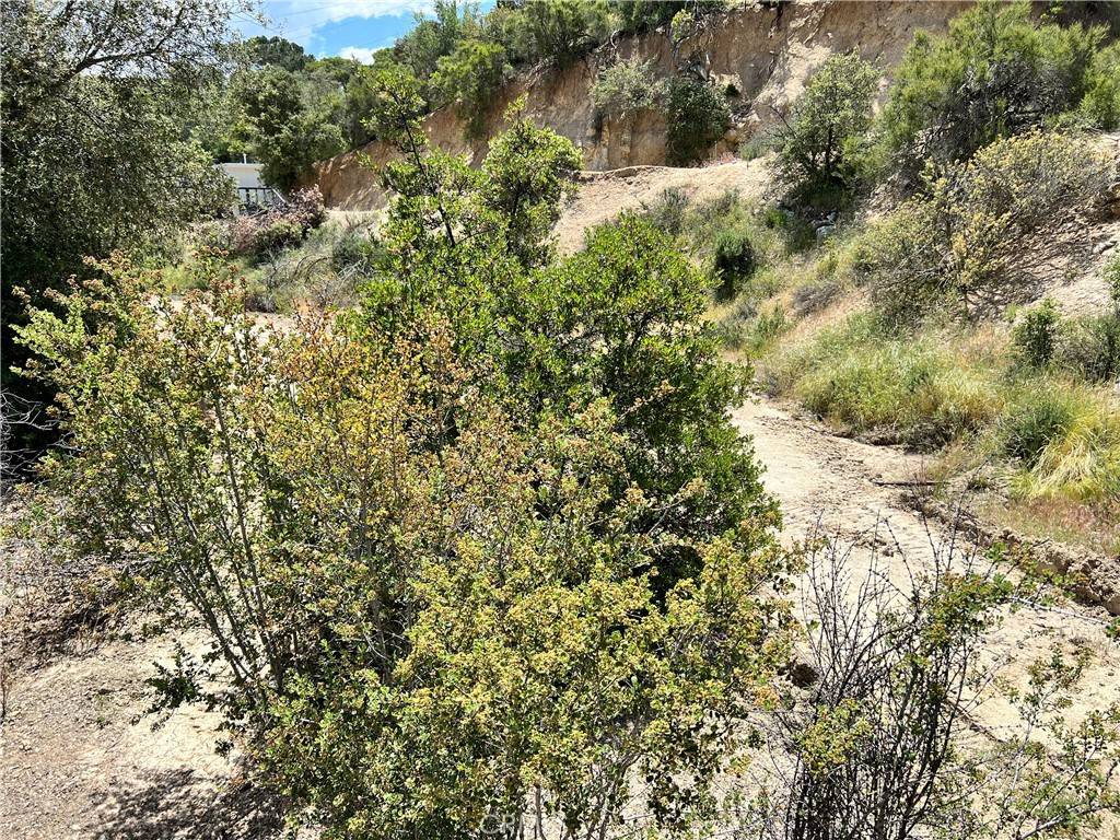 Banning, CA 92220,45902 Lynx ST