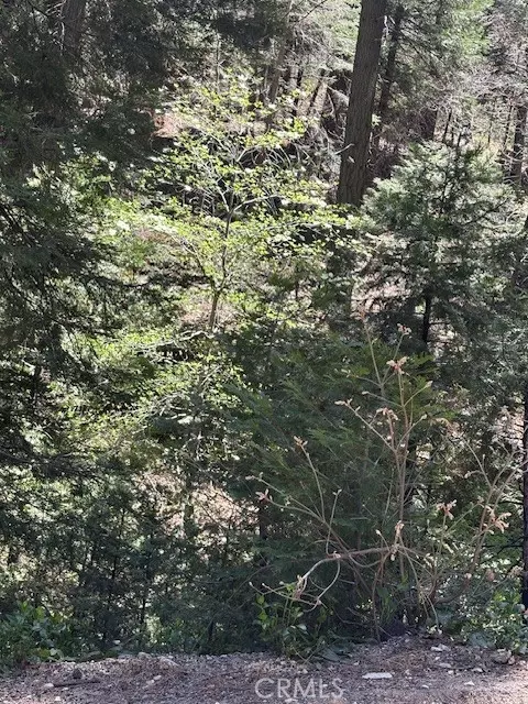 Twin Peaks, CA 92391,26101 Boulder LN
