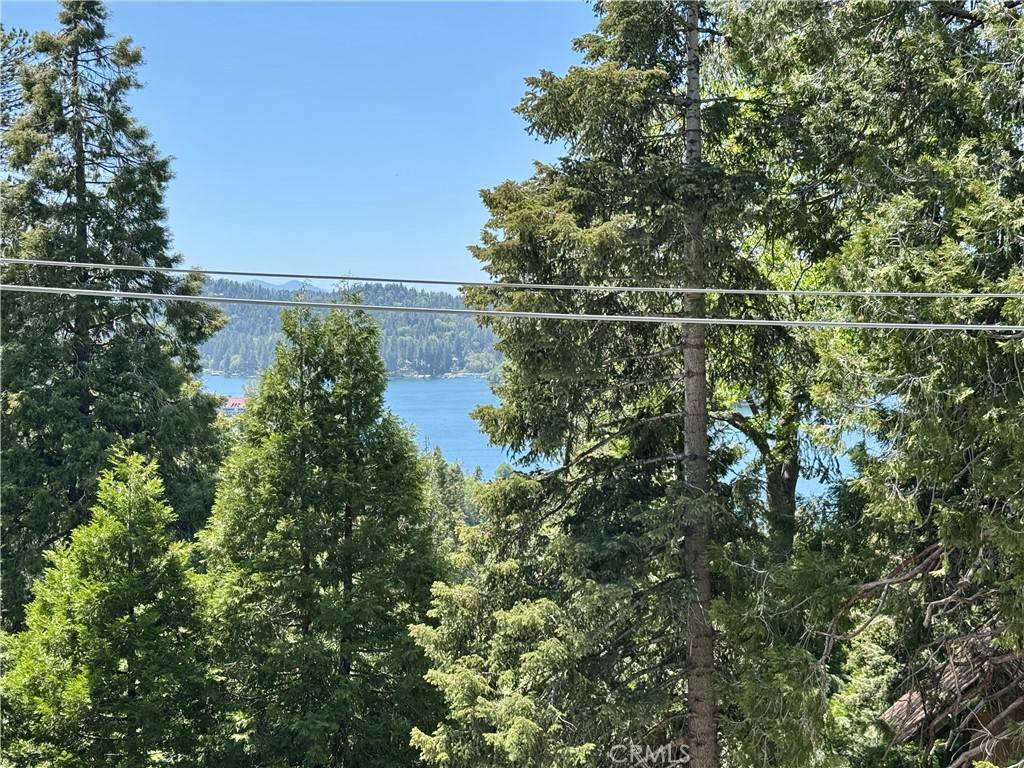 Lake Arrowhead, CA 92352,113 Fremont RD