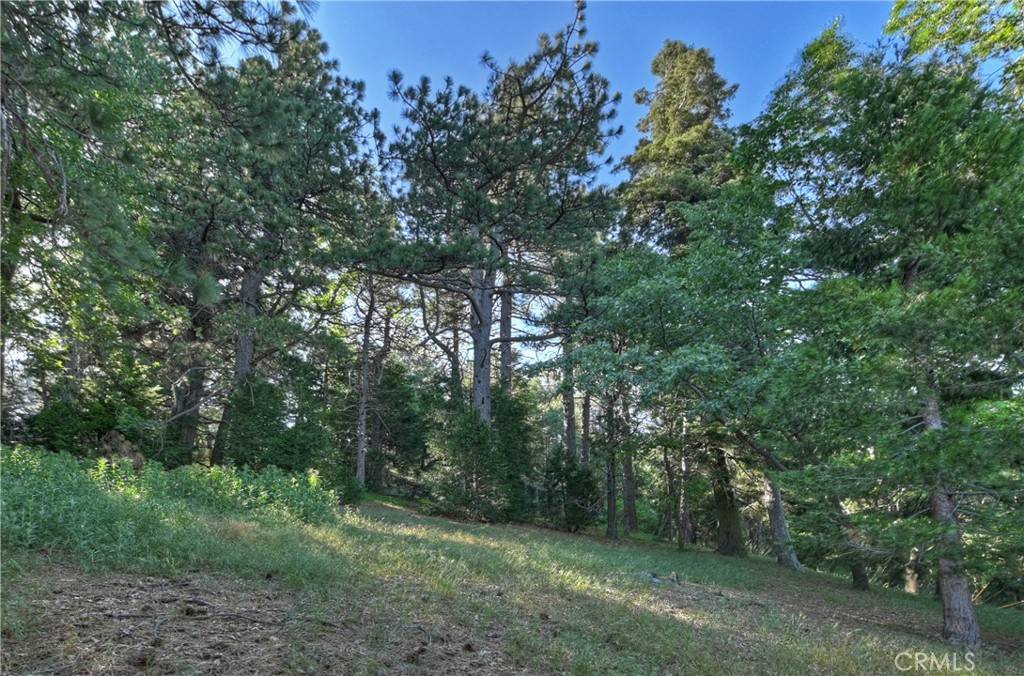 Cedarpines Park, CA 92322,21764 Peak CIR S