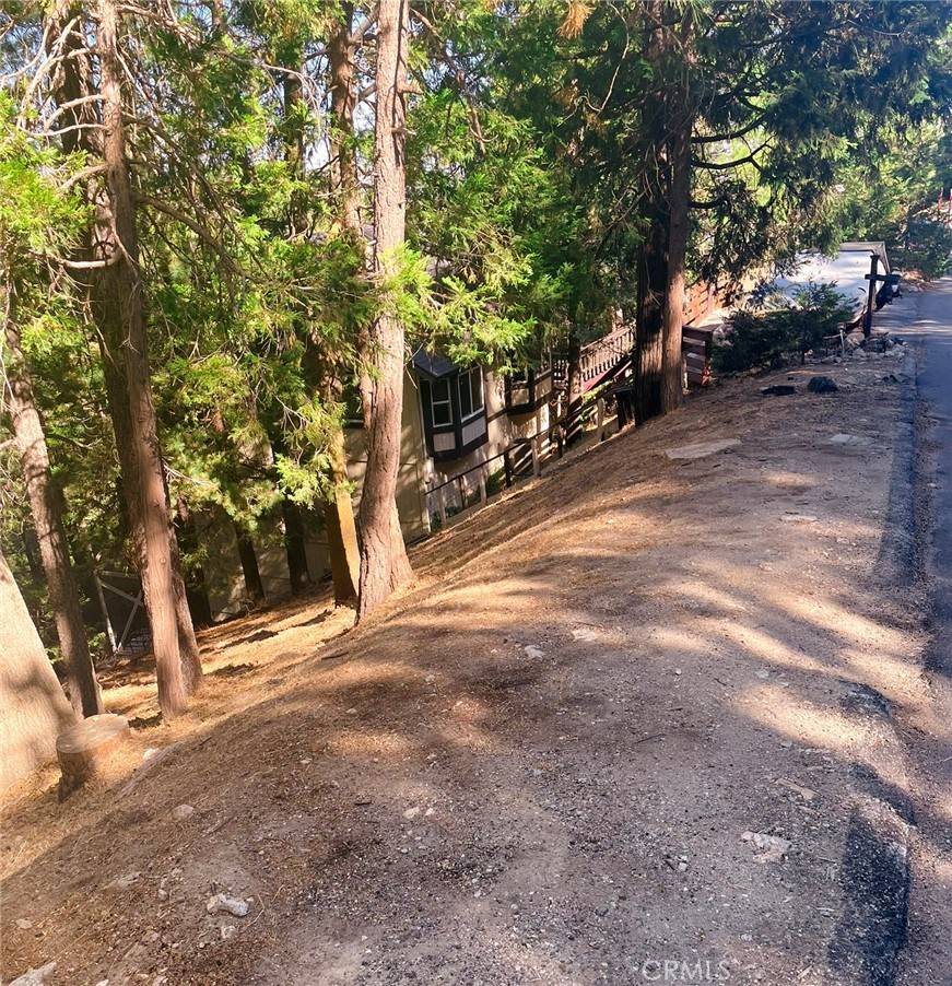Lake Arrowhead, CA 92352,1274 Evergreen LN