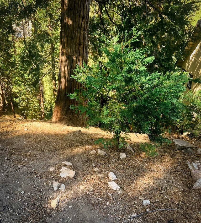 Lake Arrowhead, CA 92352,1274 Evergreen LN