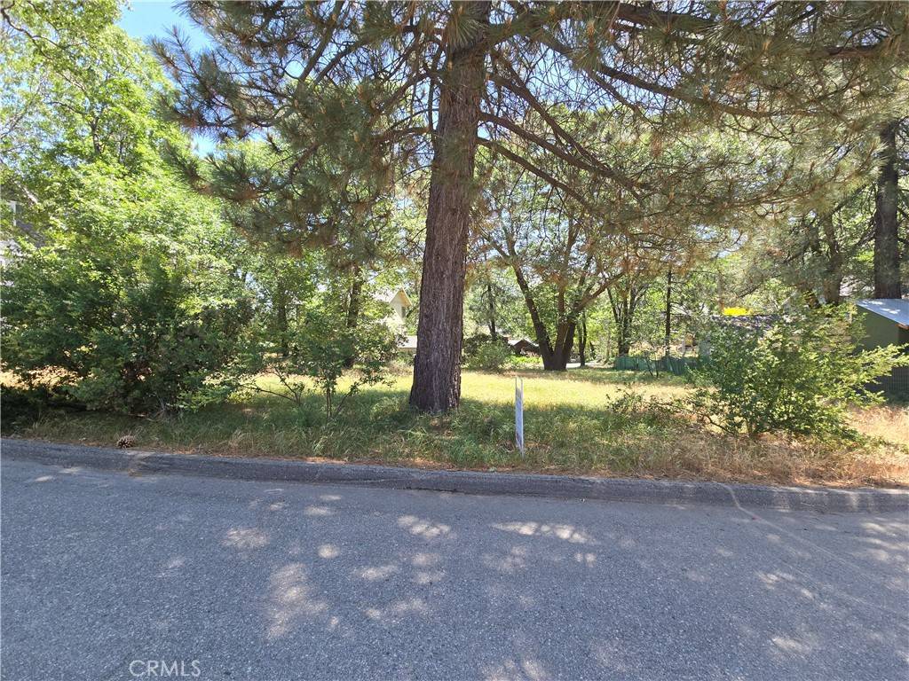 Lake Arrowhead, CA 92352,0 Grass Valley RD