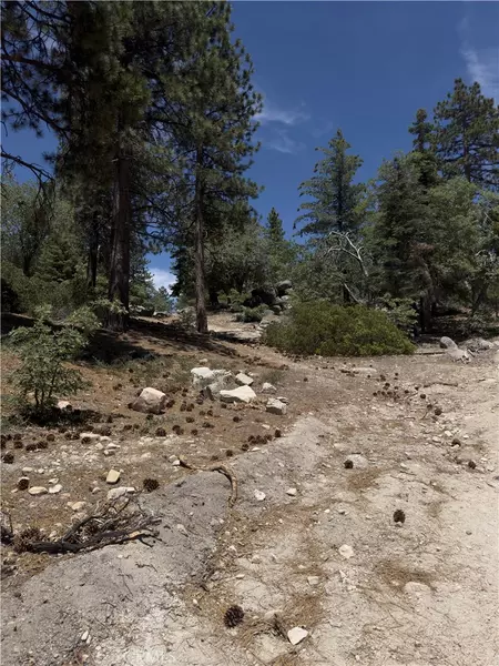 2526 Ridge RD, Running Springs, CA 92382