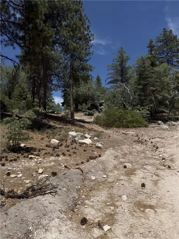 Running Springs, CA 92382,2526 Ridge RD