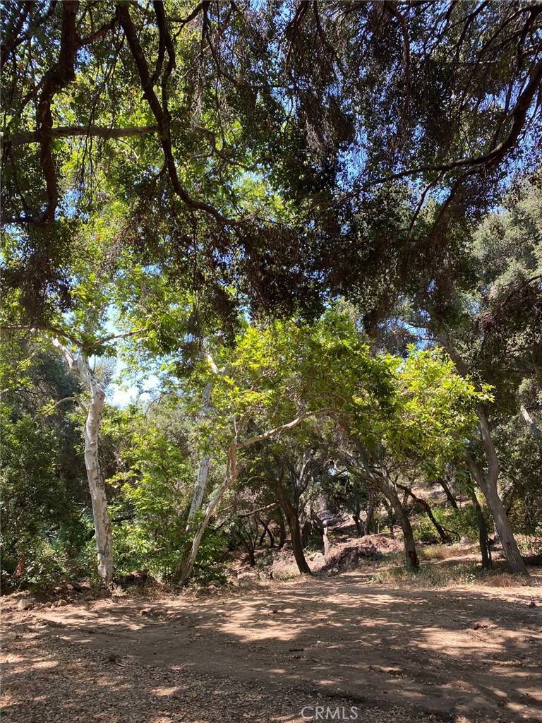 Temecula, CA 92590,0 El Calamar Rd