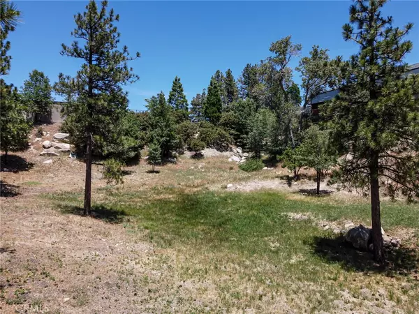 Lake Arrowhead, CA 92352,0 Halifax DR
