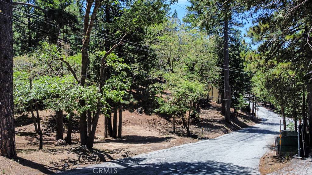 Lake Arrowhead, CA 92352,0 Meadowbrook RD