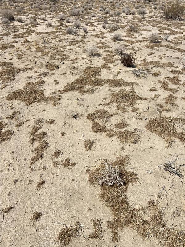 Unknown, CA 76028,0 Coachella Canal