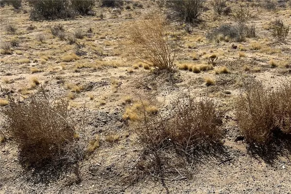 0 Coachella Canal, Unknown, CA 76028