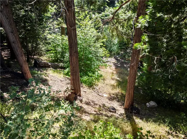 Lake Arrowhead, CA 92352,356 Ca-173