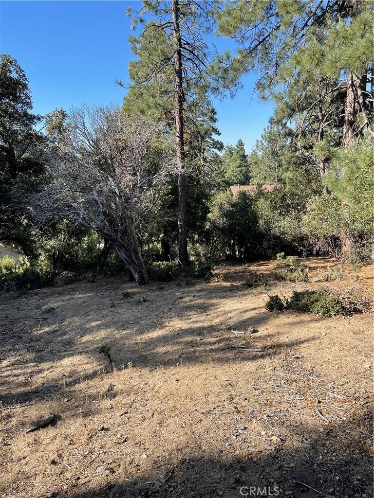 0 Valley View DR, Idyllwild, CA 92561