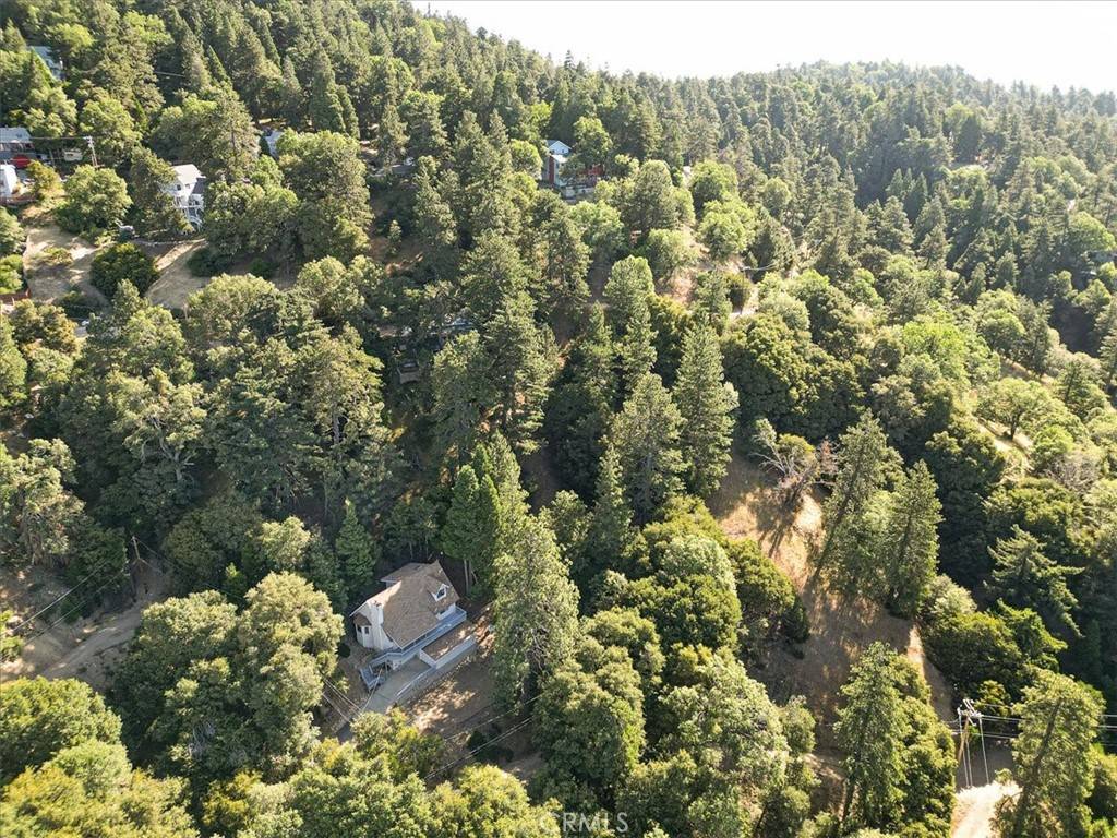 Cedarpines Park, CA 92322,21658 W Buckthorne DR