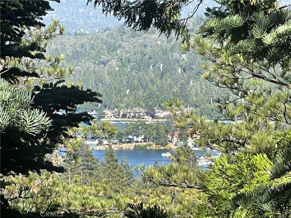 Lake Arrowhead, CA 92317,279 Old Toll RD
