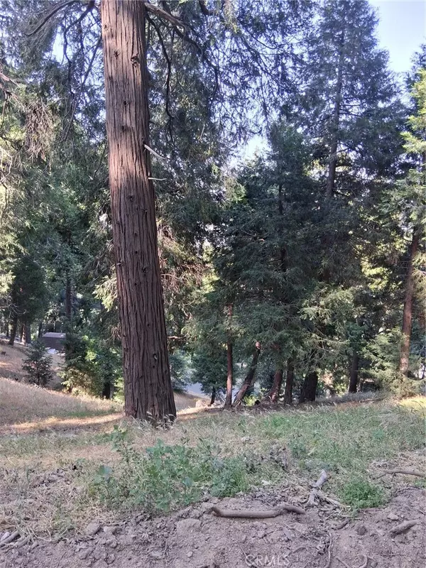 Cedarpines Park, CA 92322,61 Evergreen DR