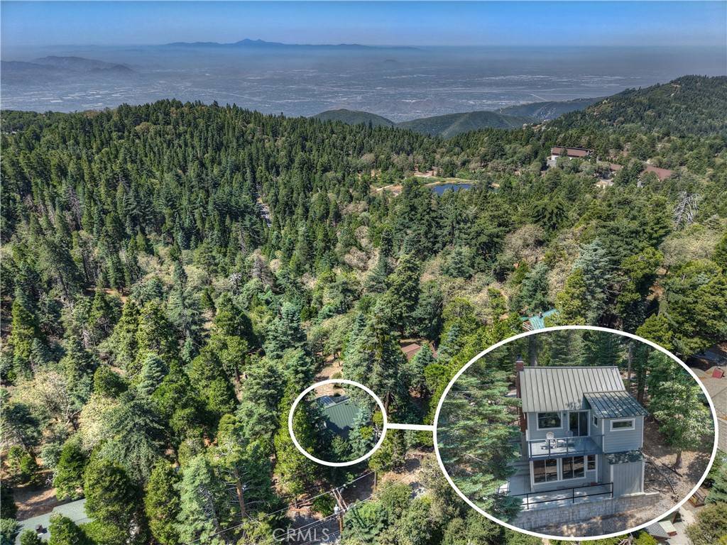 1040 Mile High RD, Twin Peaks, CA 92391