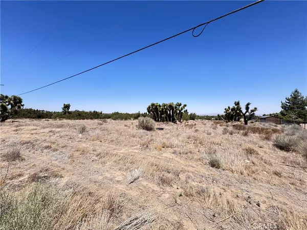 Phelan, CA 92371,0 Sunnyslope RD