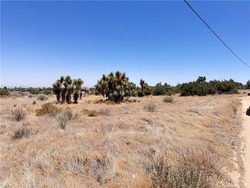 Phelan, CA 92371,0 Sunnyslope RD