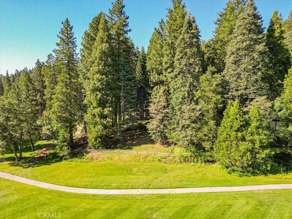 Lake Arrowhead, CA 92391,207 N Fairway DR N