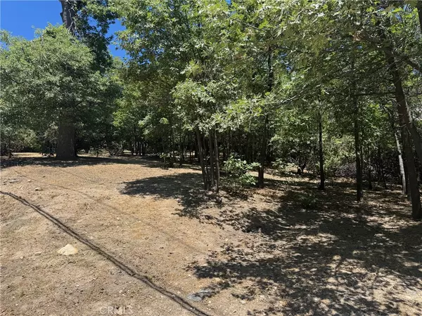 Lake Arrowhead, CA 92352,0 Lachen