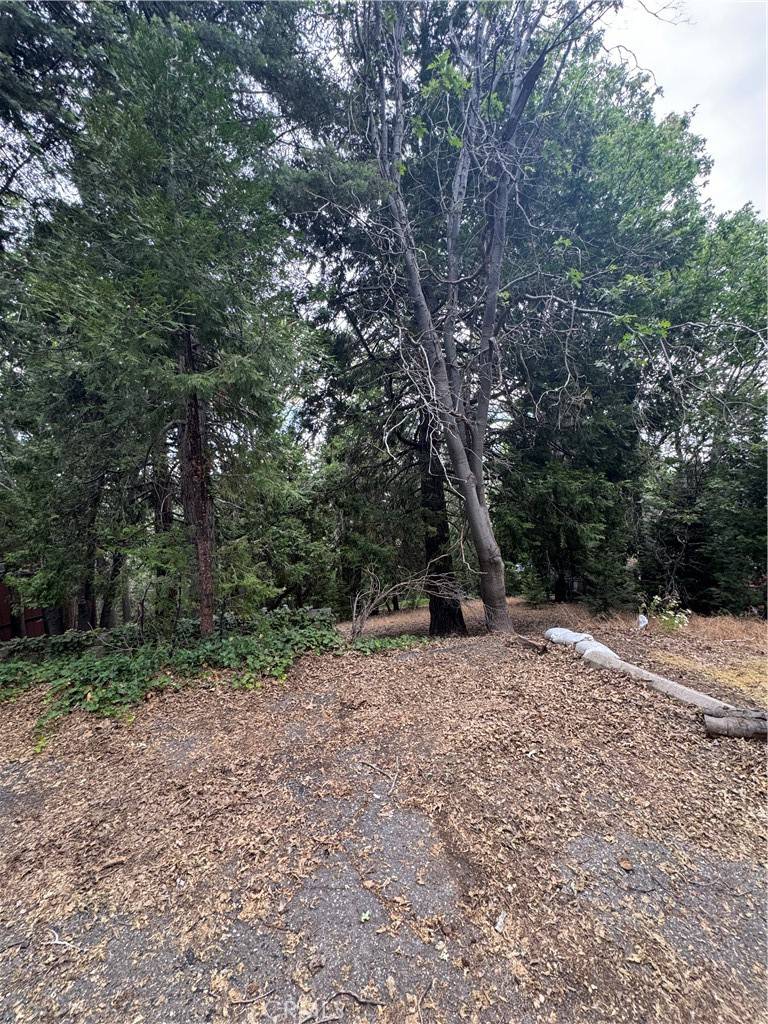 Lake Arrowhead, CA 92352,0 Cumberland DR