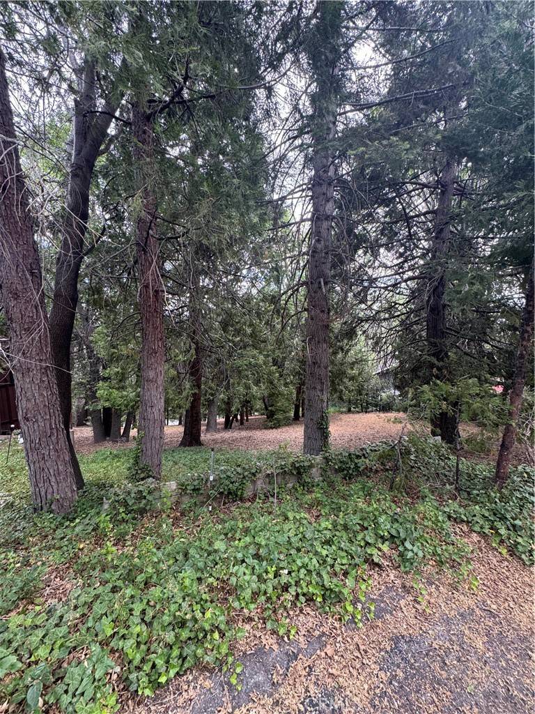 Lake Arrowhead, CA 92352,0 Cumberland DR