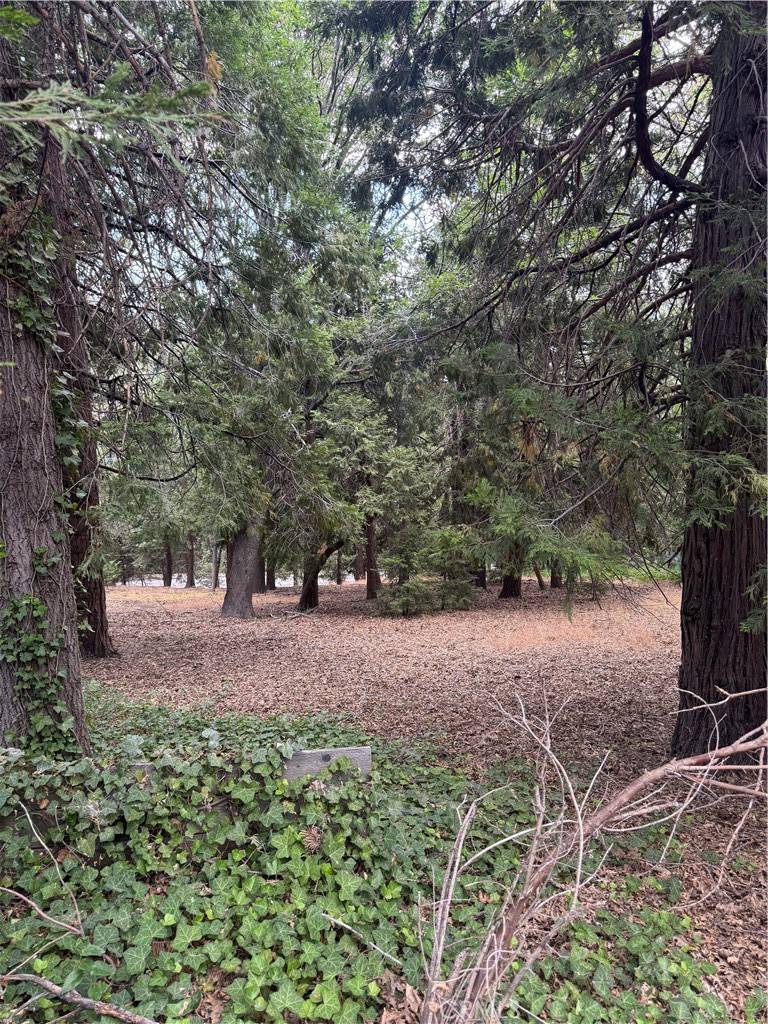Lake Arrowhead, CA 92352,0 Cumberland DR