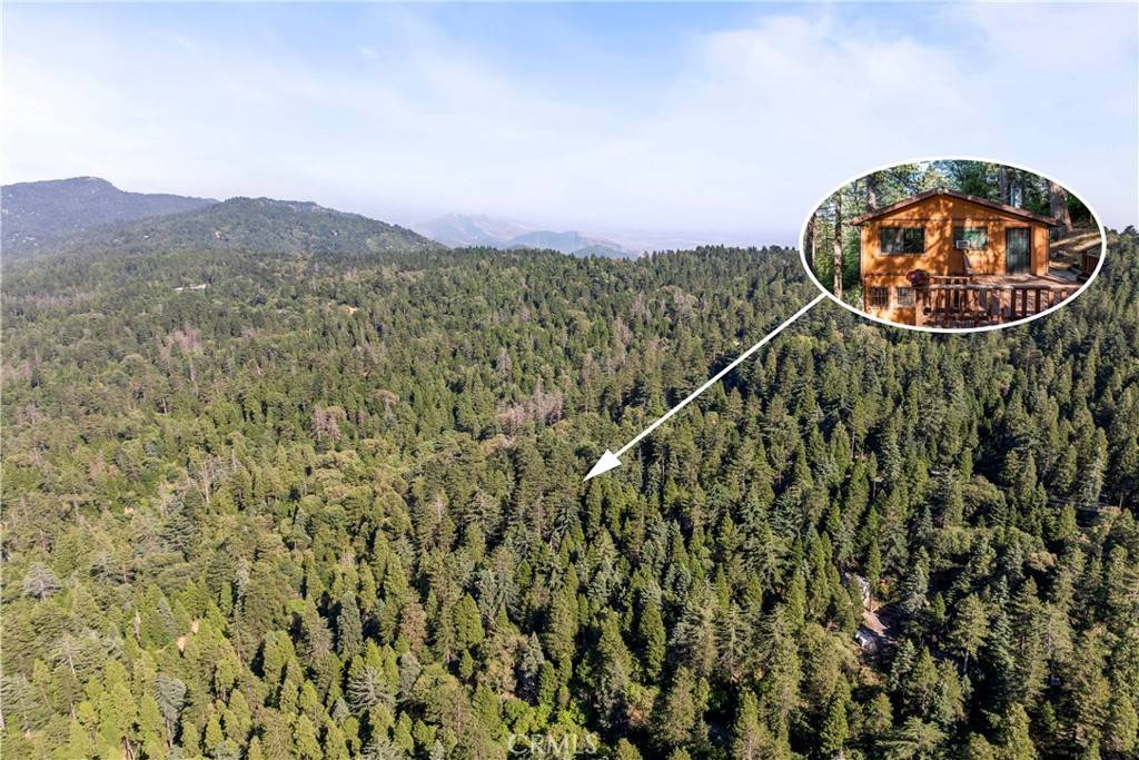 Cedarpines Park, CA 92322,22490 Rockwell RD