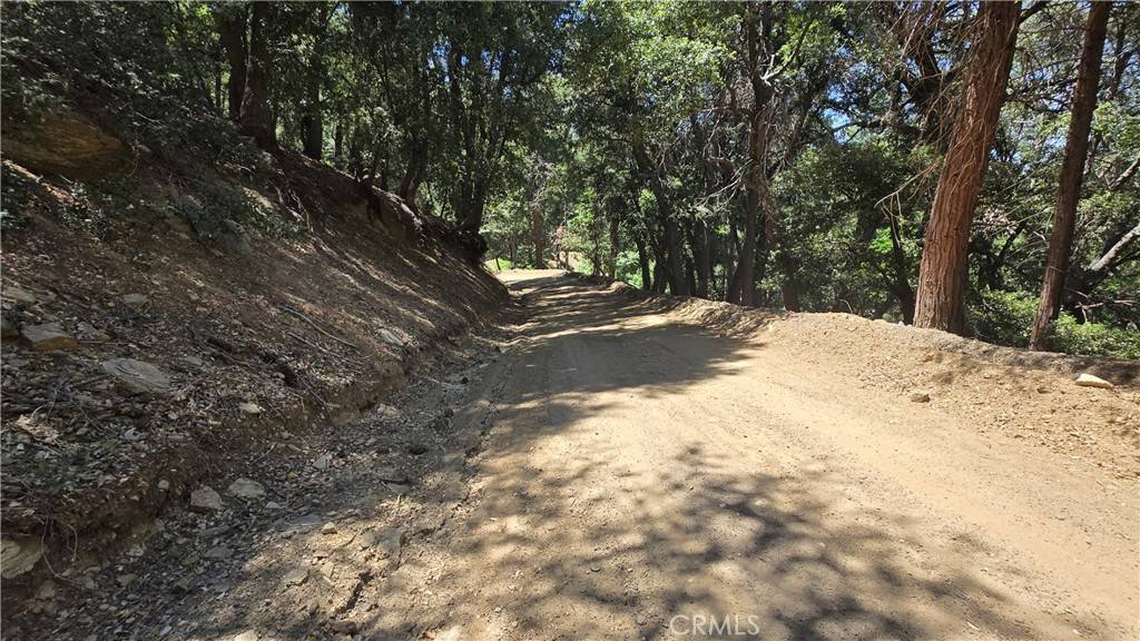 Cedarpines Park, CA 92322,0 Mojave River RD