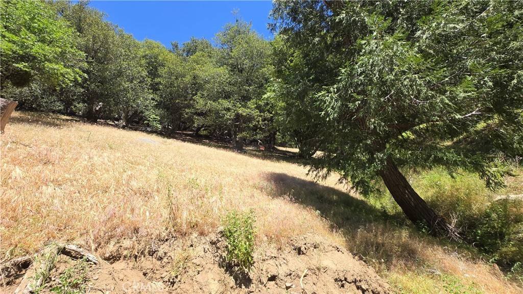 Cedarpines Park, CA 92322,0 Hope LN