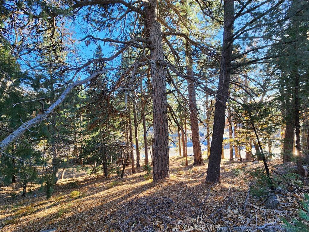 0 Lovers LN, Rimforest, CA 92378