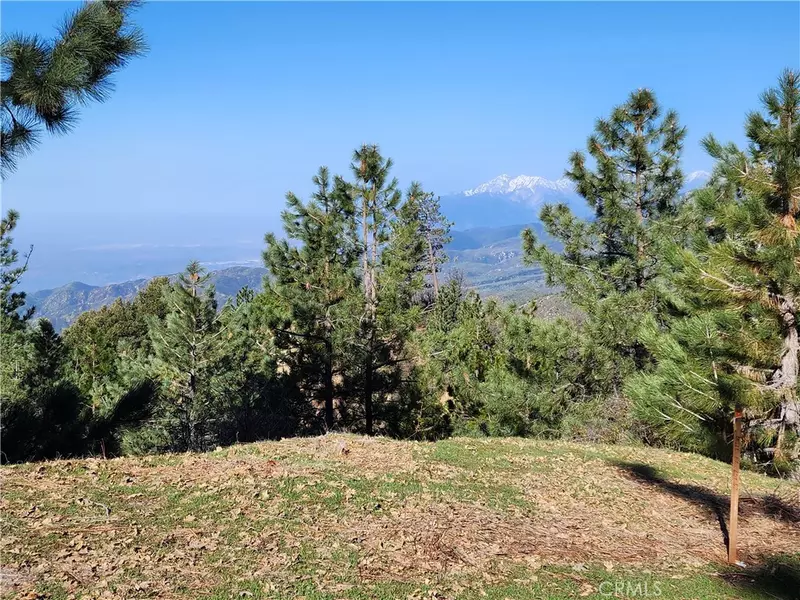 30110 Skyline, Running Springs, CA 92382