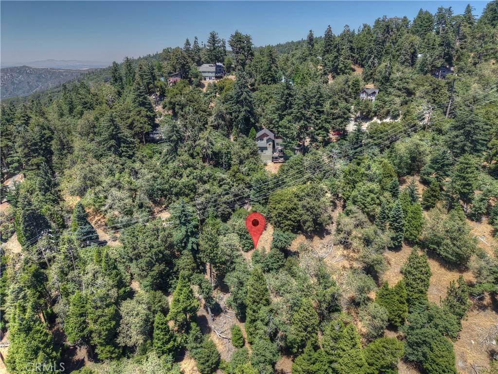 Twin Peaks, CA 92391,0 Pine TRL