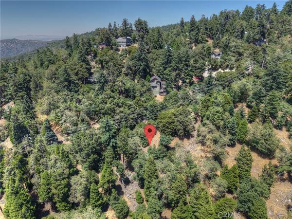 Twin Peaks, CA 92391,0 Pine TRL