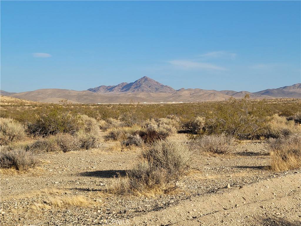 Hinkley, CA 92347,4 Buckboard RD