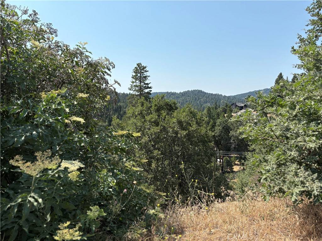 Lake Arrowhead, CA 92352,26801 inyo LN