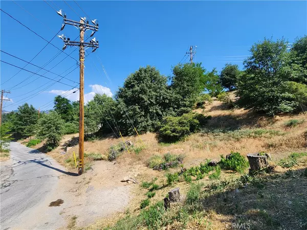 Running Springs, CA 92382,2344 Deep Creek DR