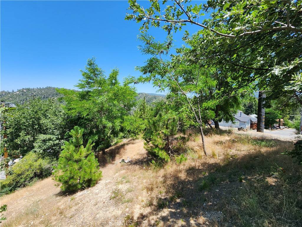 Running Springs, CA 92382,31912 Encina WAY