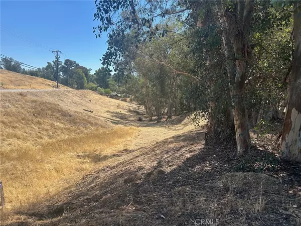 Lake Elsinore, CA 92530,0 TERETICORNIS AVE,