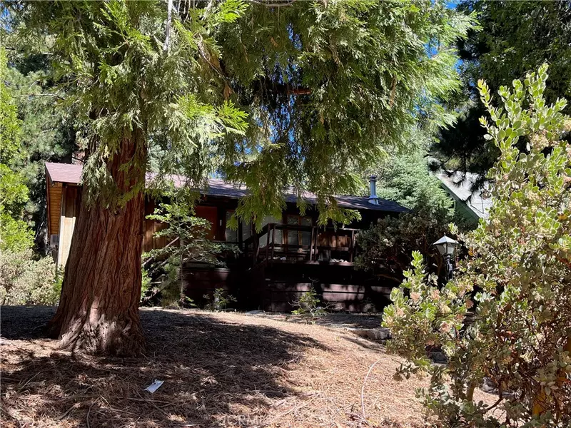 6020 Lake DR, Angelus Oaks, CA 92305