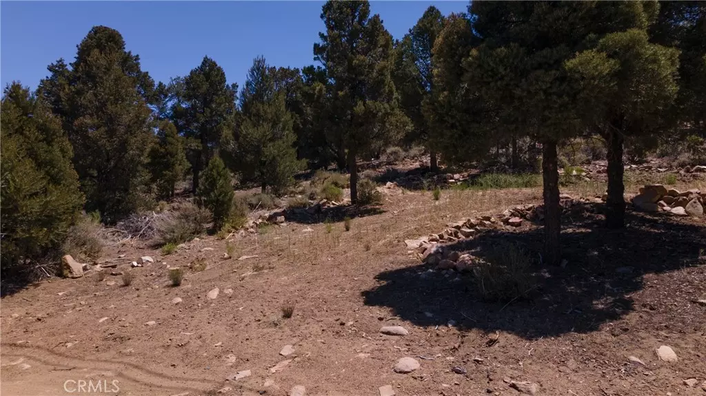 Big Bear City, CA 92314,0 Upland