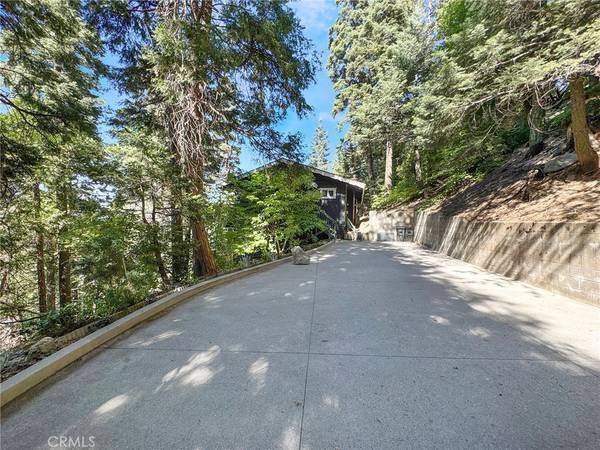 Crestline, CA 92325,24466 Altdorf DR