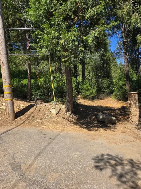 Cedarpines Park, CA 92322,0 Lovers LN