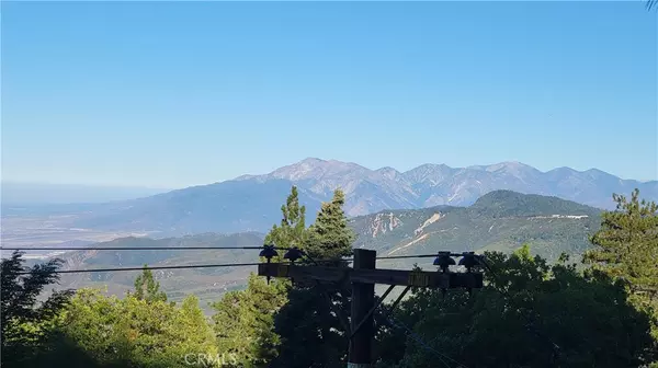 1933 Willow DR,  Running Springs,  CA 92382