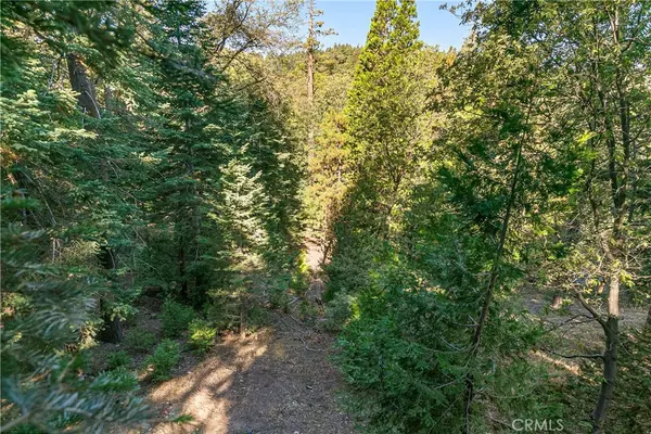 Twin Peaks, CA 92391,628 Rose LN