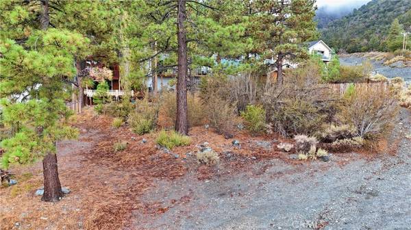 Wrightwood, CA 92397,0 Mahogany