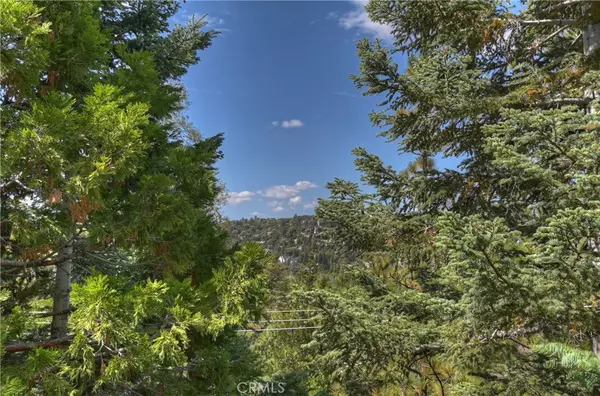 Lake Arrowhead, CA 92352,523 Pioneer