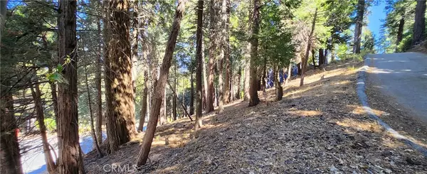 Crestline, CA 92325,0 Albrun DR