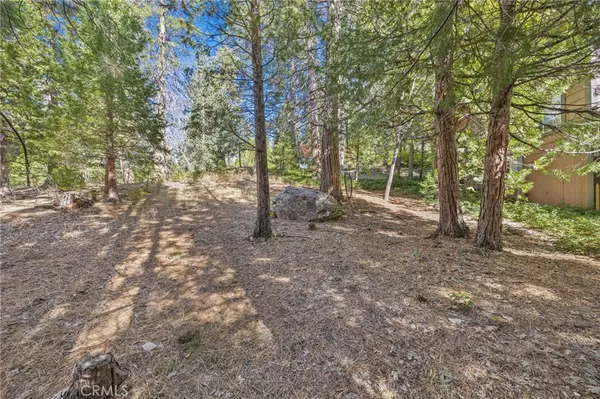 Lake Arrowhead, CA 92352,180 Grass Valley